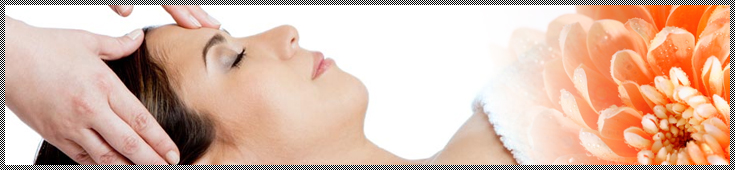 美容特捜隊だけの美容の原則